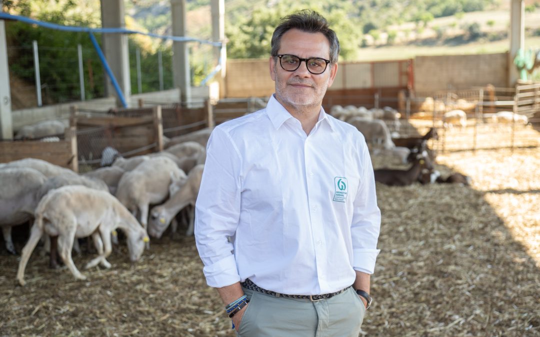 Entrevista Carles Rosell