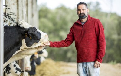 Entrevista Antoni Dalmau