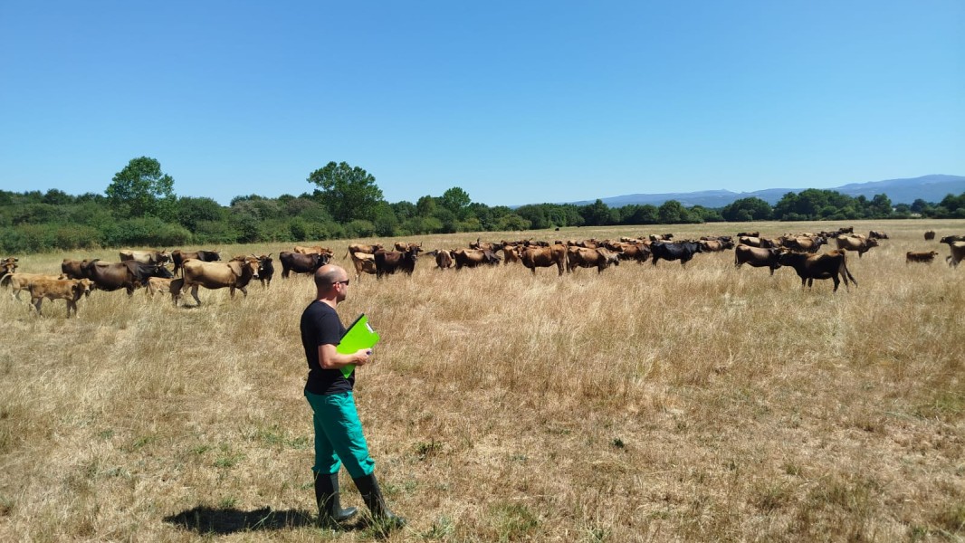 Diego Sánchez Méndez