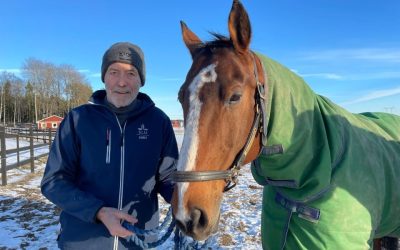 Entrevista Harry Blokhuis