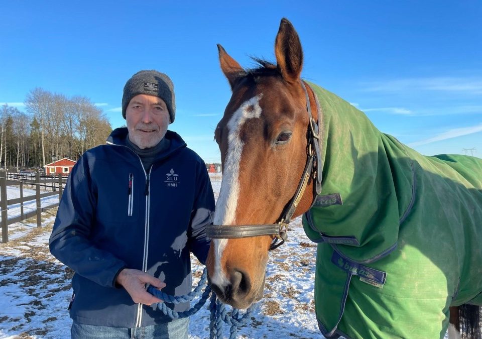 Entrevista Harry Blokhuis